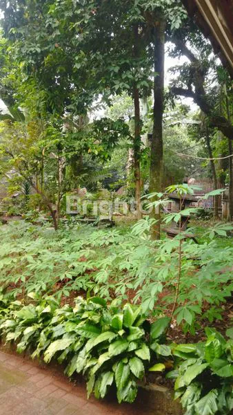 image RUMAH KLASIK BEBAS BANJIR TANAH LUAS DI PONDOK LABU JAKARTA SELATAN (2)