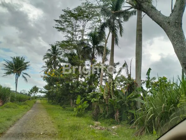 image TANAH MURAH JATISARI MALANG (5)