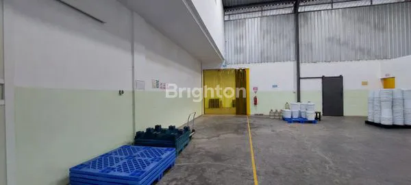 image GUDANG WONOREJO PASURUAN (5)