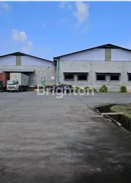 image PABRIK KAYU AKTIF DI GRINGSING, BATANG (1)