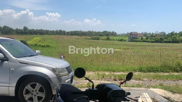 TANAH DI MEGATI TABANAN
