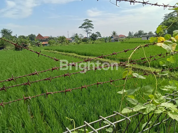 image GEDUNG DAN PRASARANA EX PERGURUAN TINGGI DI SUBANG (8)