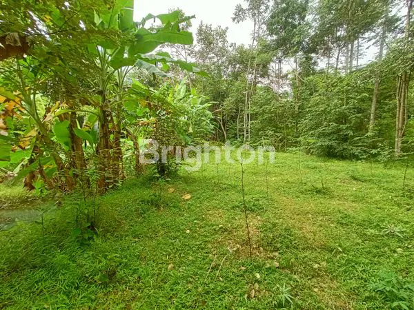 TANAH SELUAS 1.195 M² DEKAT PASAR KAMULAN