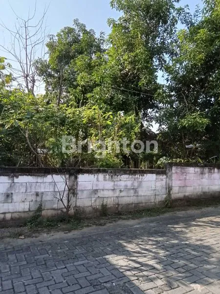 image RUMAH KAMPUNG LUAS 630 M2 (3)