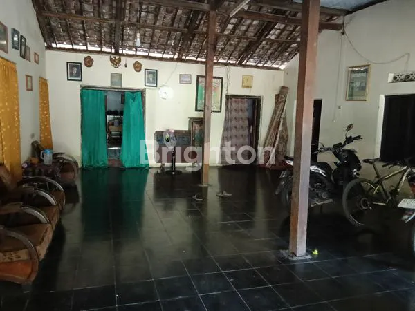 image RUMAH KAMPUNG LUAS 630 M2 (6)