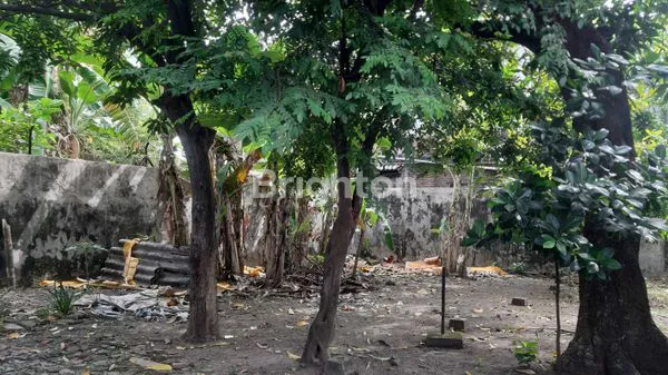 image DI JUAL RUMAH , SELANGKAH PRAPEN- RAYA JEMURSARI (8)