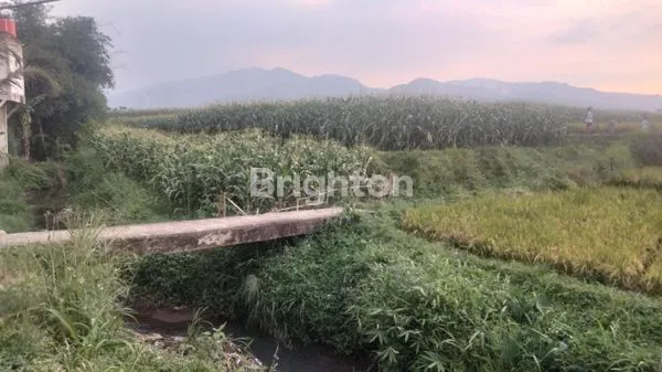 image LAHAN STRATEGIS HARGA SADIS! NEGO TIPIS UNTUNGNYA BANYAK! (1)