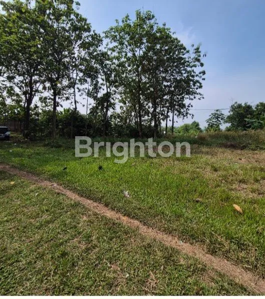 image INVESTASI MENARIK TANAH DI LEGOK (1)