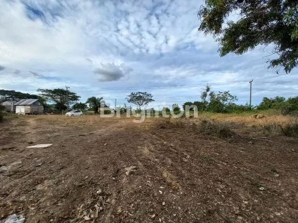 image LAHAN JAKABARING (2)