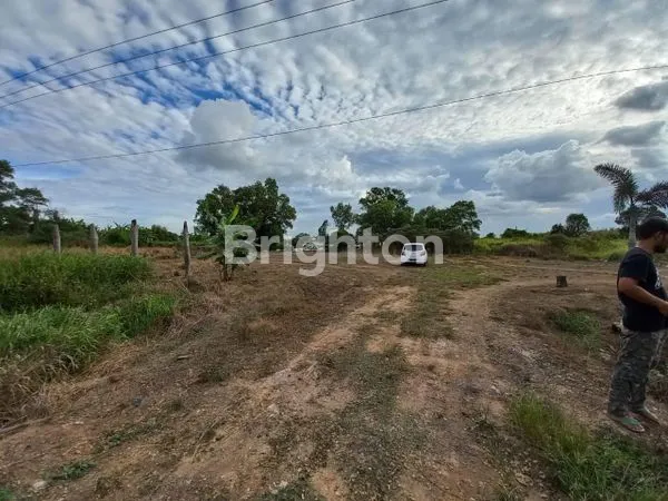 image LAHAN JAKABARING (4)