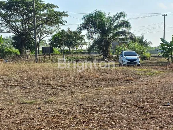 image LAHAN JAKABARING (3)