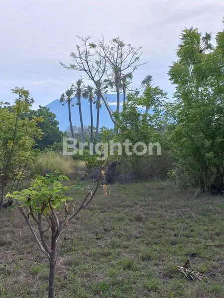 image TANAH PINGGIR PANTAI DAN VIEW GUNUNG AGUNG AREA KARANGASEM (3)