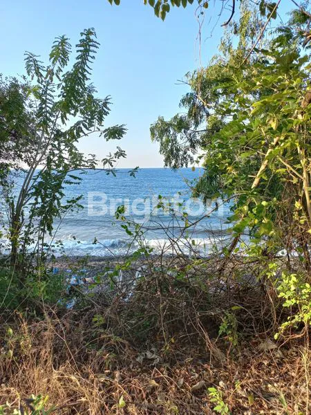 image TANAH PINGGIR PANTAI DAN VIEW GUNUNG AGUNG AREA KARANGASEM (1)