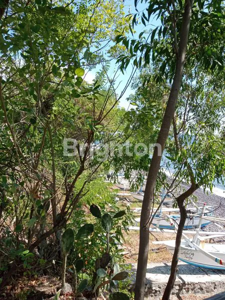 image TANAH PINGGIR PANTAI DAN VIEW GUNUNG AGUNG AREA KARANGASEM (2)