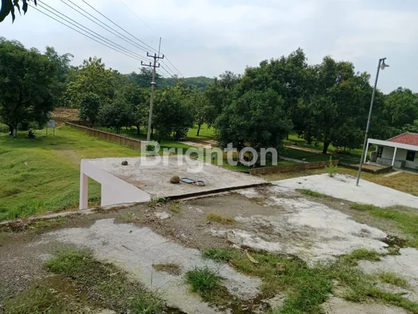 image CAFE DAN KEBUN MANGGA DI MAJALENGKA (5)