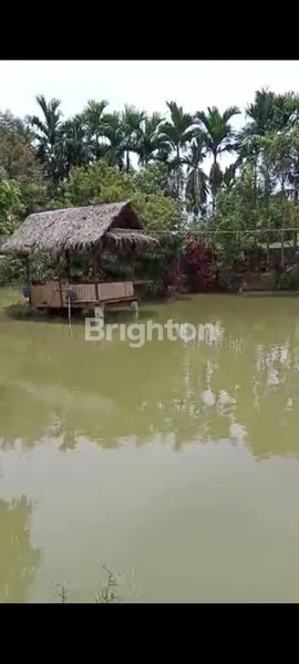 image RUMAH UJUNG SERDANG    (6)