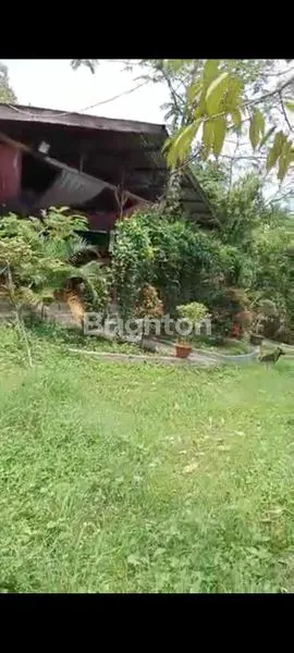 image RUMAH UJUNG SERDANG    (5)