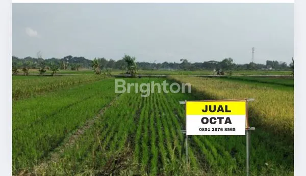 Gambar Property TANAH PRODUKTIF DI KLASEMAN
