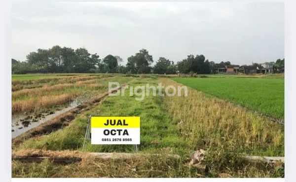 Gambar Property TANAH PRODUKTIF DI KLASEMAN