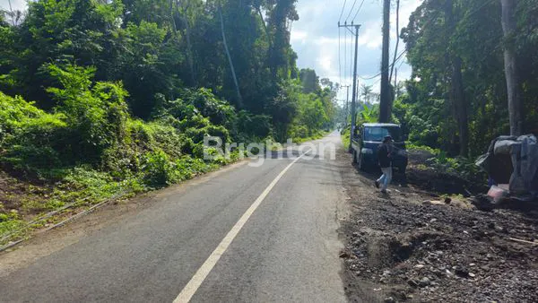image TANAH LONGLEASE PANTAI NYANYI TABANAN (3)