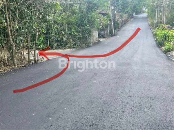 TANAH SELUAS 2.777 M² DI DESA PECATU, KABUPATEN BADUNG – KAWASAN STRATEGIS YANG BERKEMBANG PESAT.