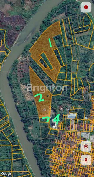 image JUAL CAFE SAUNG TEDUH DAN KEBUN MANGGA DAERAH MAJALENGKA (8)