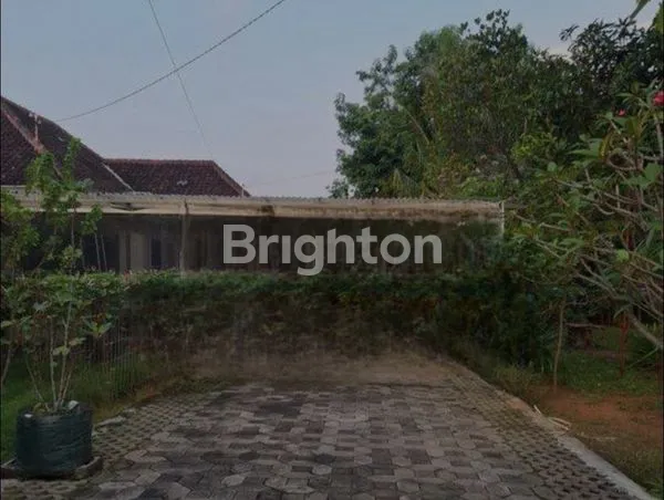 image RUMAH KEBUN LUAS - SOLO (4)