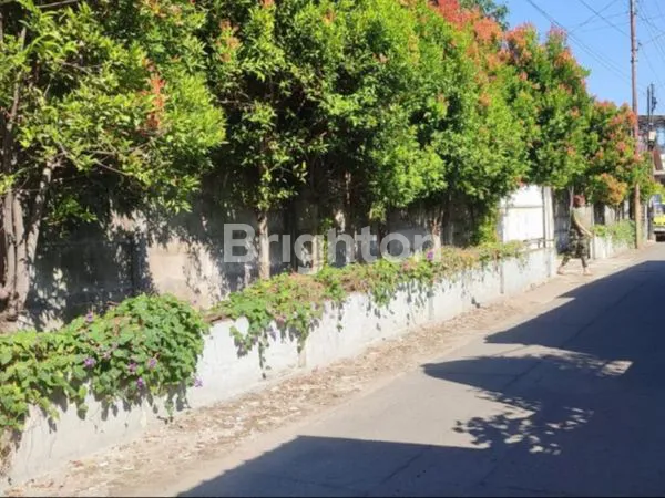 image RUMAH KEBUN LUAS - SOLO (8)