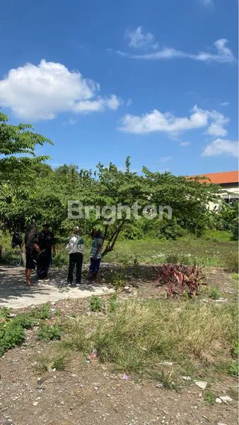 image TANAH LUAS DAN TANPA BANGUNAN DI PATUK (2)