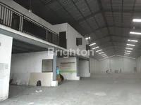 WhatsApp Image 2025 07 17 at 09.51.36 1