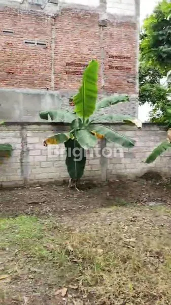 image TANA RAYA SENDANG BULU (1)