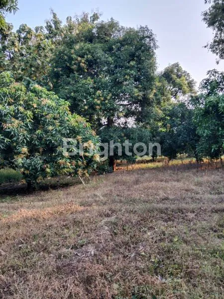 image DI JUAL CAFE  (5)