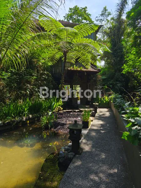 image VILLA DI SEBATU UBUD (1)