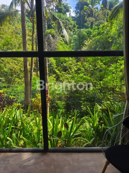 image VILLA DI SEBATU UBUD (8)