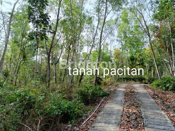 DIJUAL TANAH PACITAN