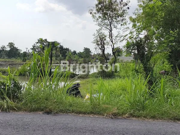 image TANAH PEKARANGAN  LOKASI STRATEGIS DEKAT DENGAN PERUMAHAN DAN PEMUKIMAN PEN (3)