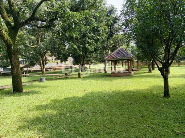 image TANAH KEBUN MANGGA  SELUAS 29.975 METER, MURAH DI PANYINGKIRAN MAJALENGKA AKSES STRATEGIS (1)