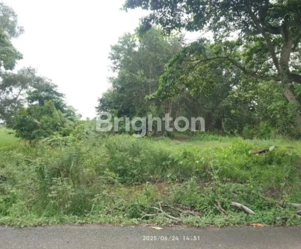 TANAH 18 HEKTAR PINGGIR SUNGAI DAN JALAN, SHM DI IBUL PEGAYUT OI SUMSEL