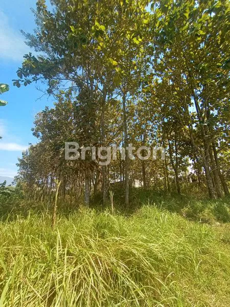 TANAH LUAS 1008M2 DI JOYOAGUNG MERJOSARI MALANG, HARGA TERJANGKAU!