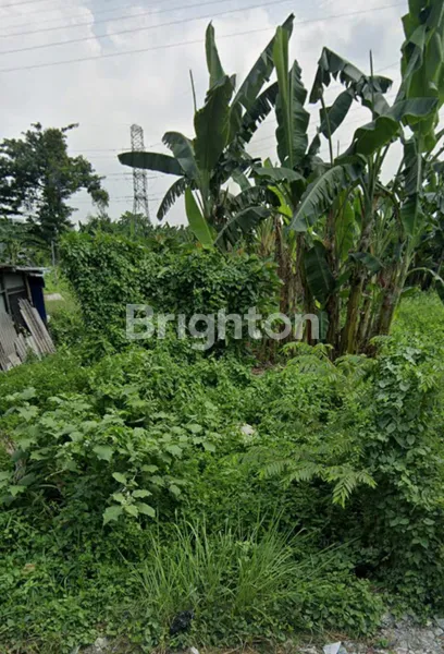 image KAVLING LOKASI TANAH SAMBISARI ROW JALAN LEBAR (1)