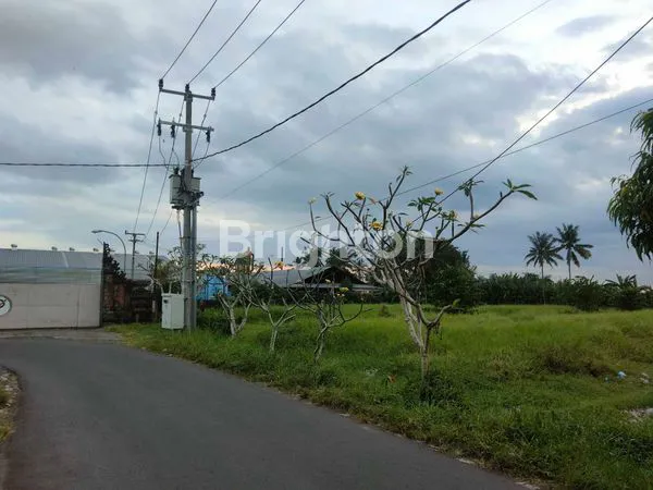 image TANAH PINGGIR JALAN, COCOK BUAT GUDANG, AREA BISNIS DAN PERUMAHAN  (8)