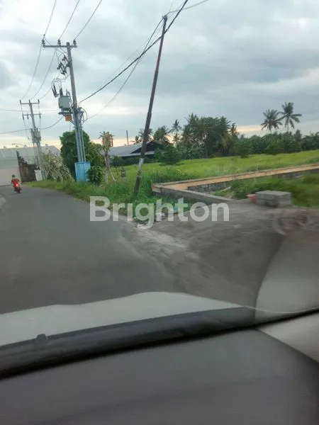 image TANAH PINGGIR JALAN, COCOK BUAT GUDANG, AREA BISNIS DAN PERUMAHAN  (4)