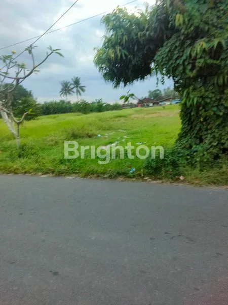 image TANAH PINGGIR JALAN, COCOK BUAT GUDANG, AREA BISNIS DAN PERUMAHAN  (3)