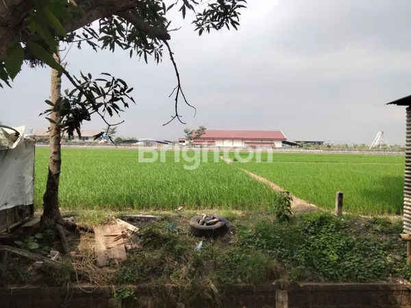 image TANAH DI PAKIS AJI,GENENGAN  (1)