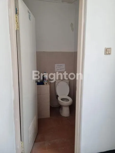 image RUKO ALEXANDRITE (4)