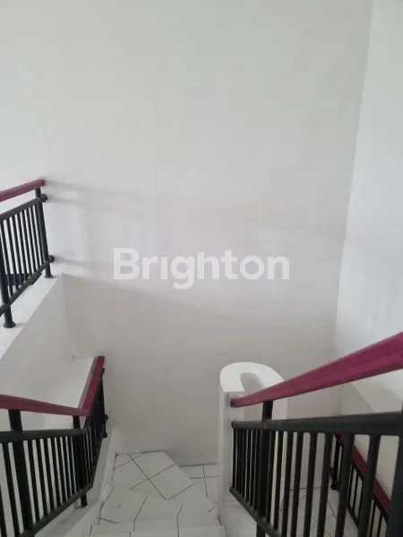 image RUKO ALEXANDRITE (3)