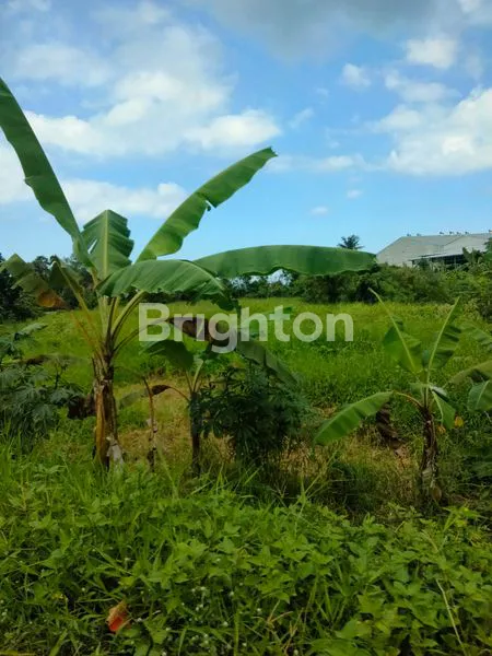 image TANAH PINGGIR JALAN, LOKASI BISNIS DAN PERUMAHAN, LOKASI DEKAT DENGAN BENGKEL MOBIL,DAN PABRIK AIR MINERAL  (1)