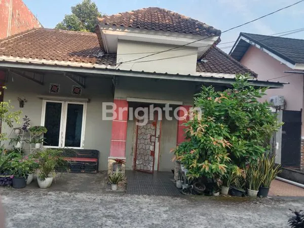 image RUMAH MINIMALIS (1)