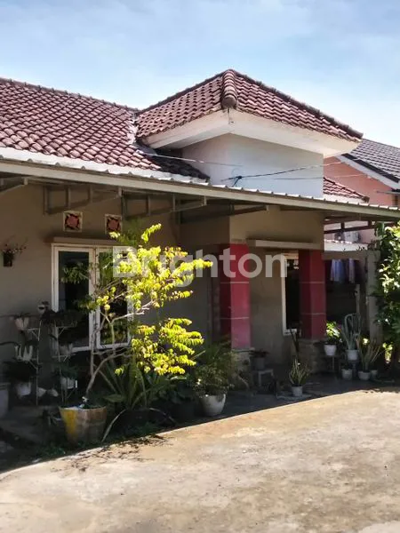 image RUMAH MINIMALIS (2)