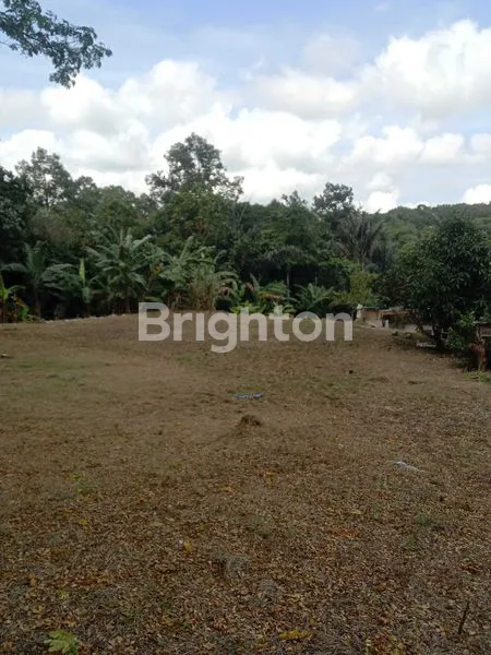 image TANAH STRATEGIS 1000M² DI JL. SOEKARNO HATTA BALIKPAPAN (2)